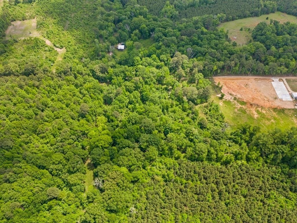 68.44 acres in Harrison County gallery image 3