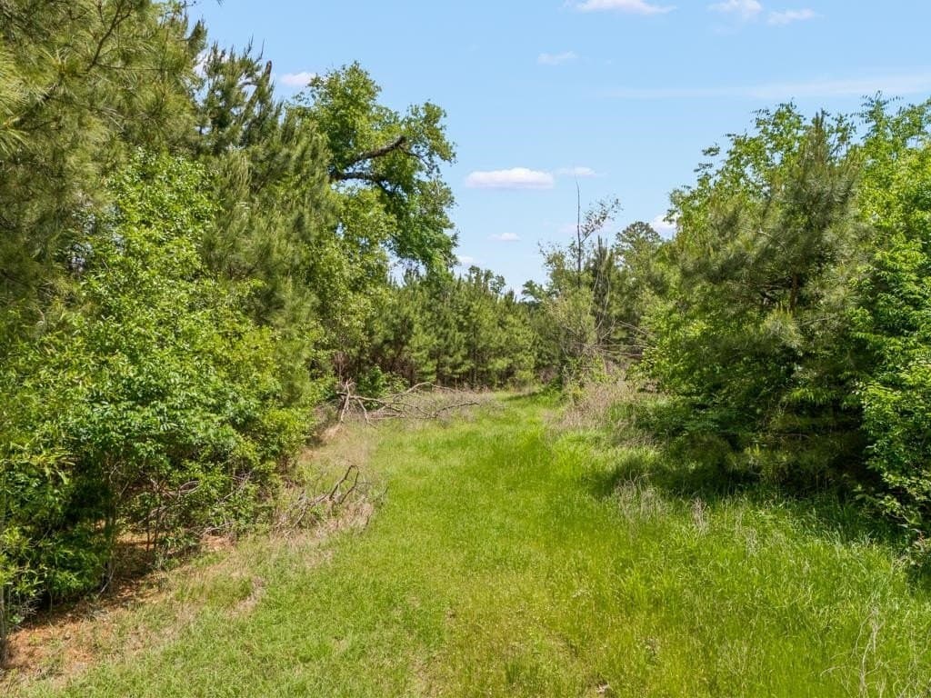 68.44 acres in Harrison County featured view