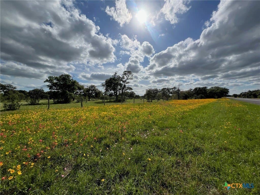 55.82 acres in Lavaca County - photo 5