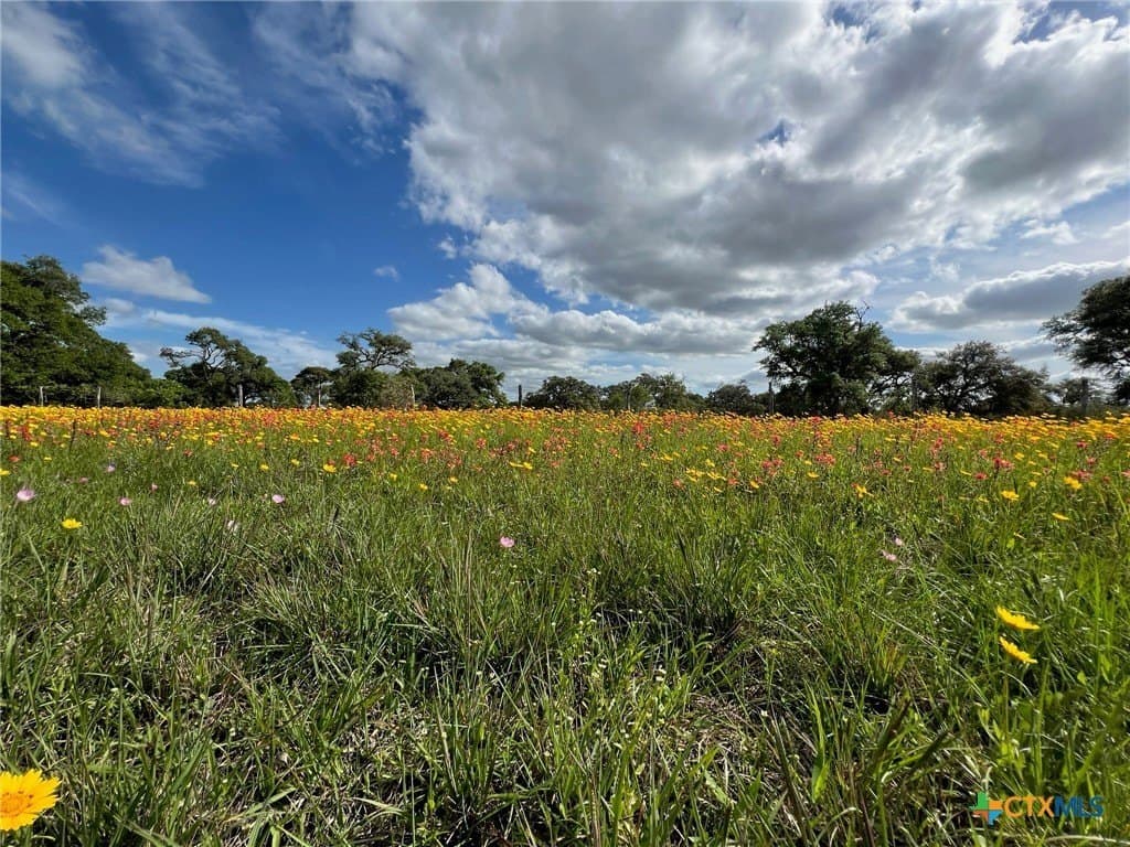 55.82 acres in Lavaca County - photo 6