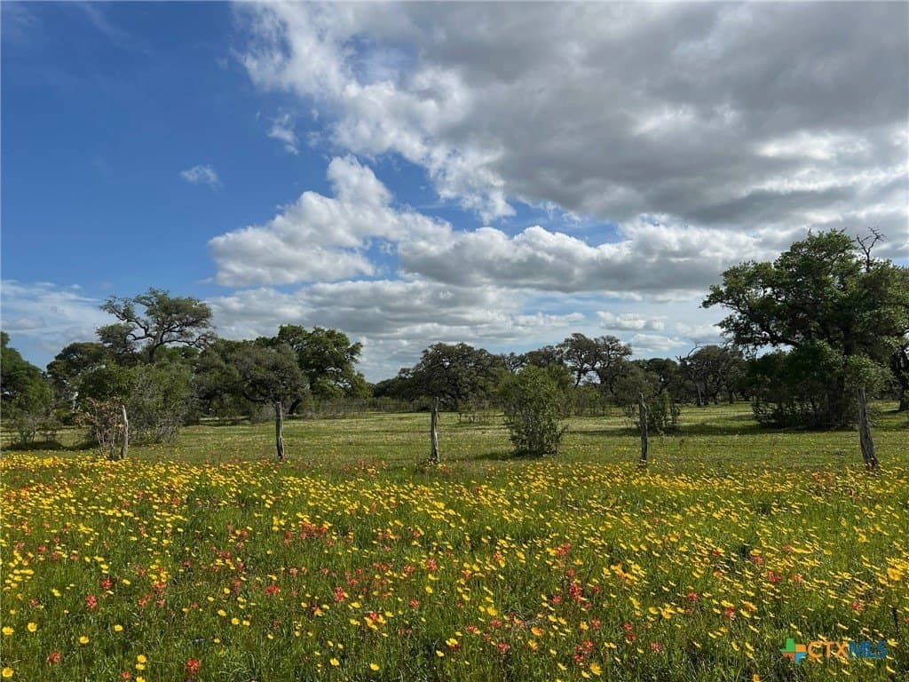 55.82 acres in Lavaca County - photo 2