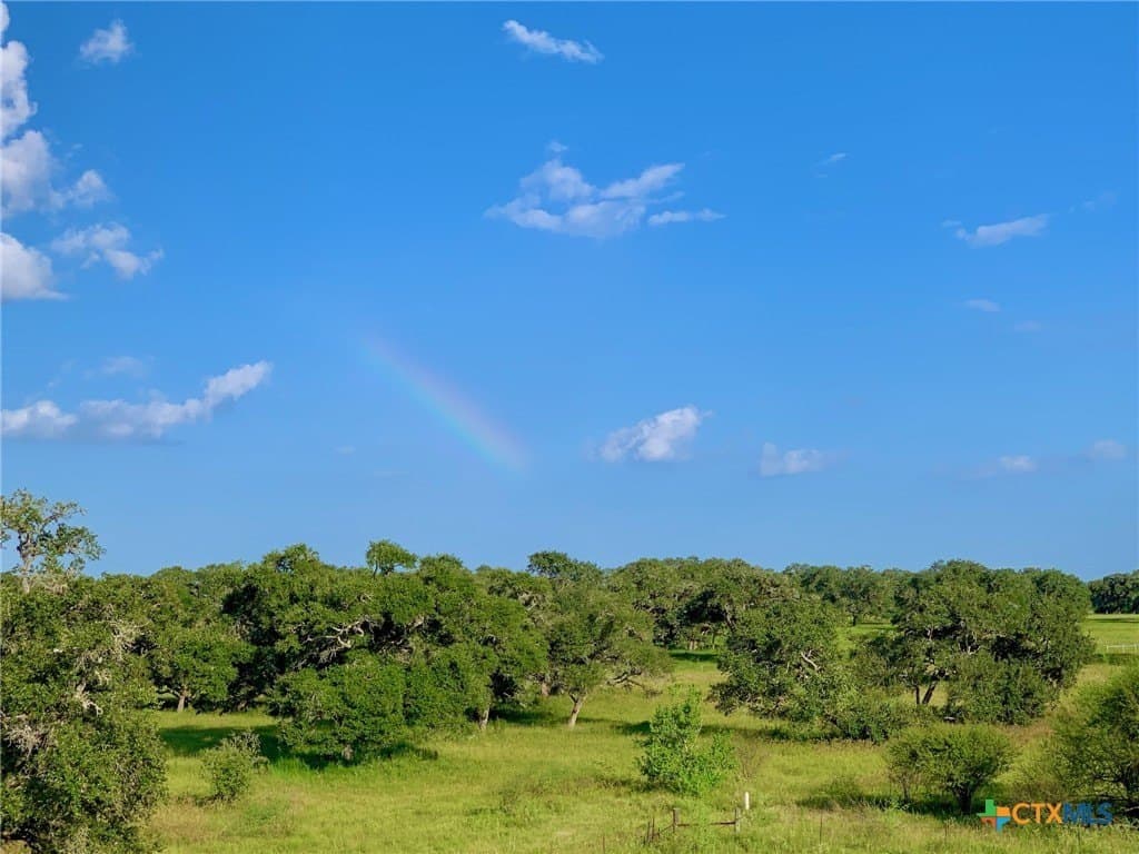 55.82 acres in Lavaca County - photo 4