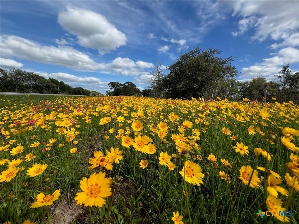 55.82 acres in Lavaca County - photo 3