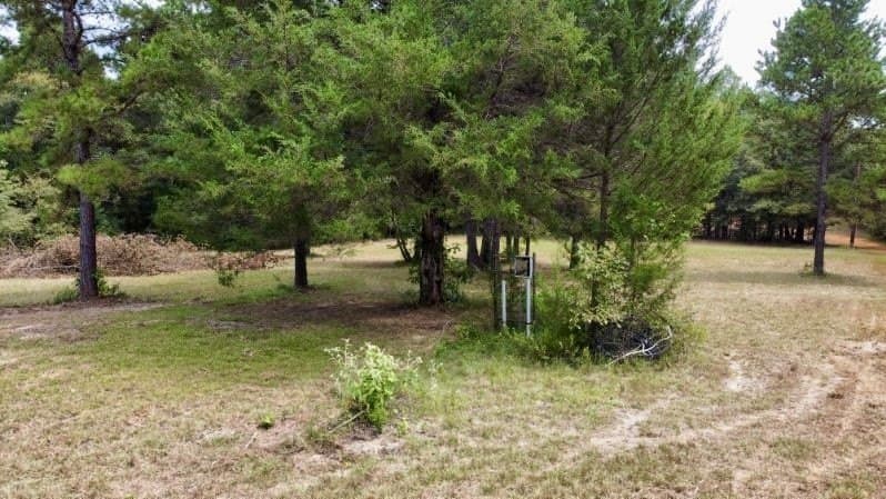 11.97 acres in Cass County - photo 6