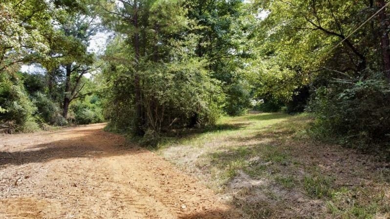 11.97 acres in Cass County featured view