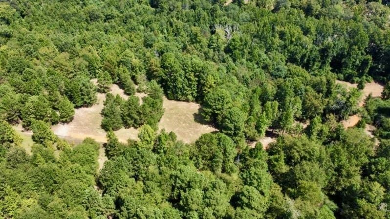 11.97 acres in Cass County - photo 11