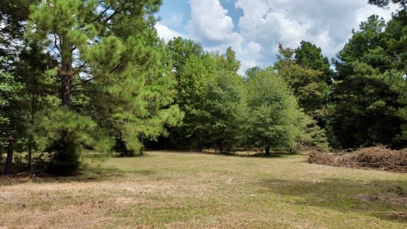 11.97 acres in Cass County - photo 9