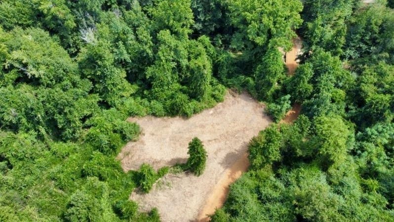11.97 acres in Cass County - photo 12