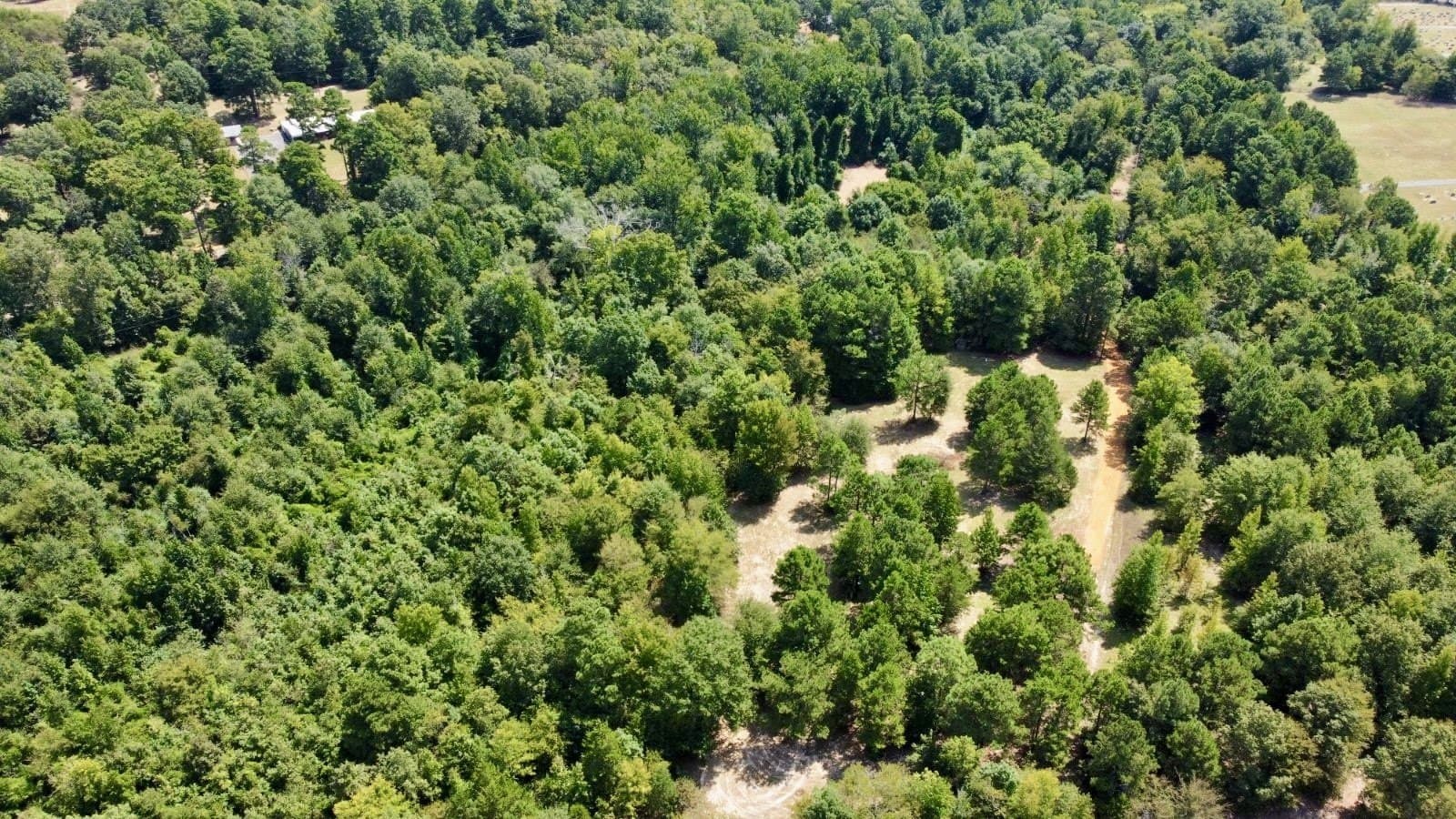 11.97 acres in Cass County - photo 10