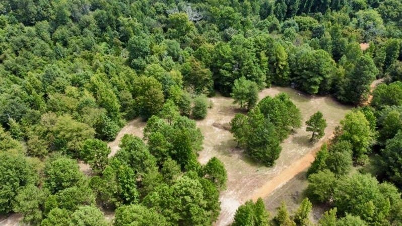 11.97 acres in Cass County - photo 13