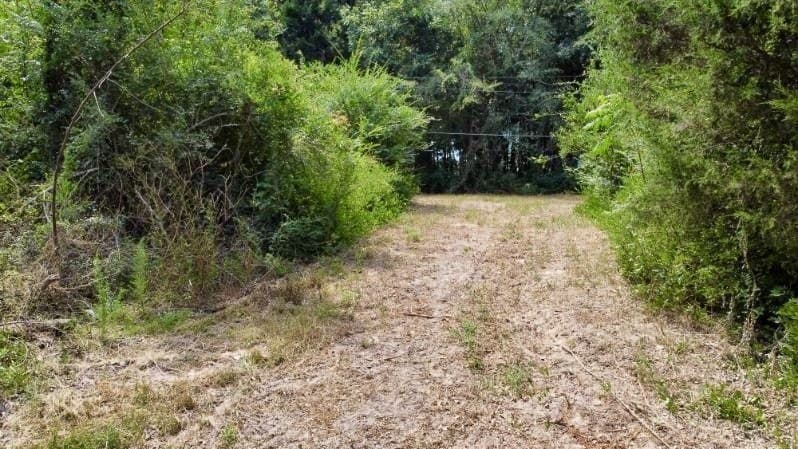 11.97 acres in Cass County gallery image 4