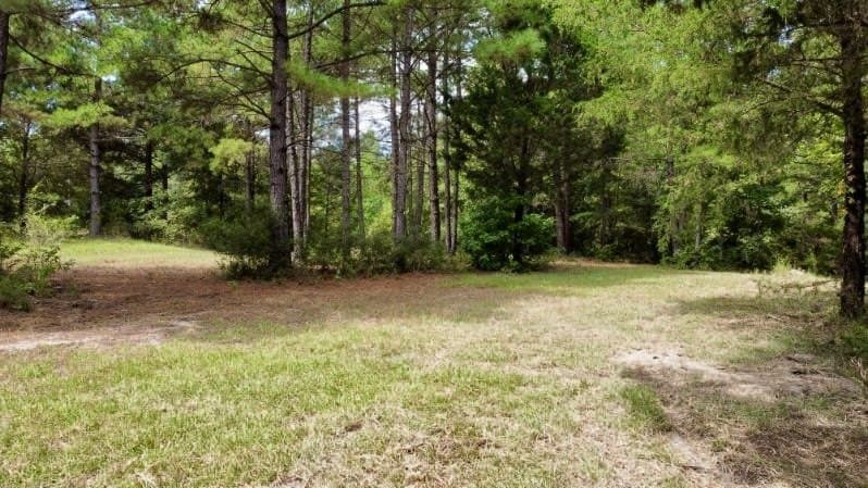 11.97 acres in Cass County - photo 7