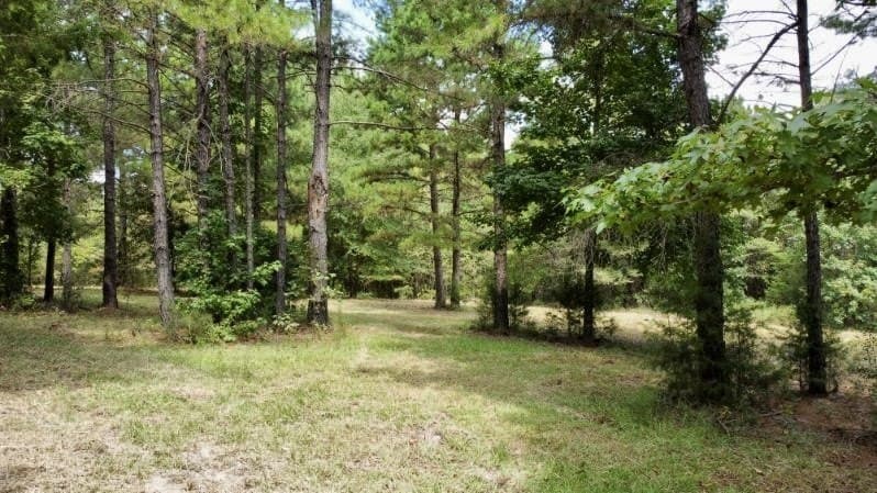 11.97 acres in Cass County - photo 8
