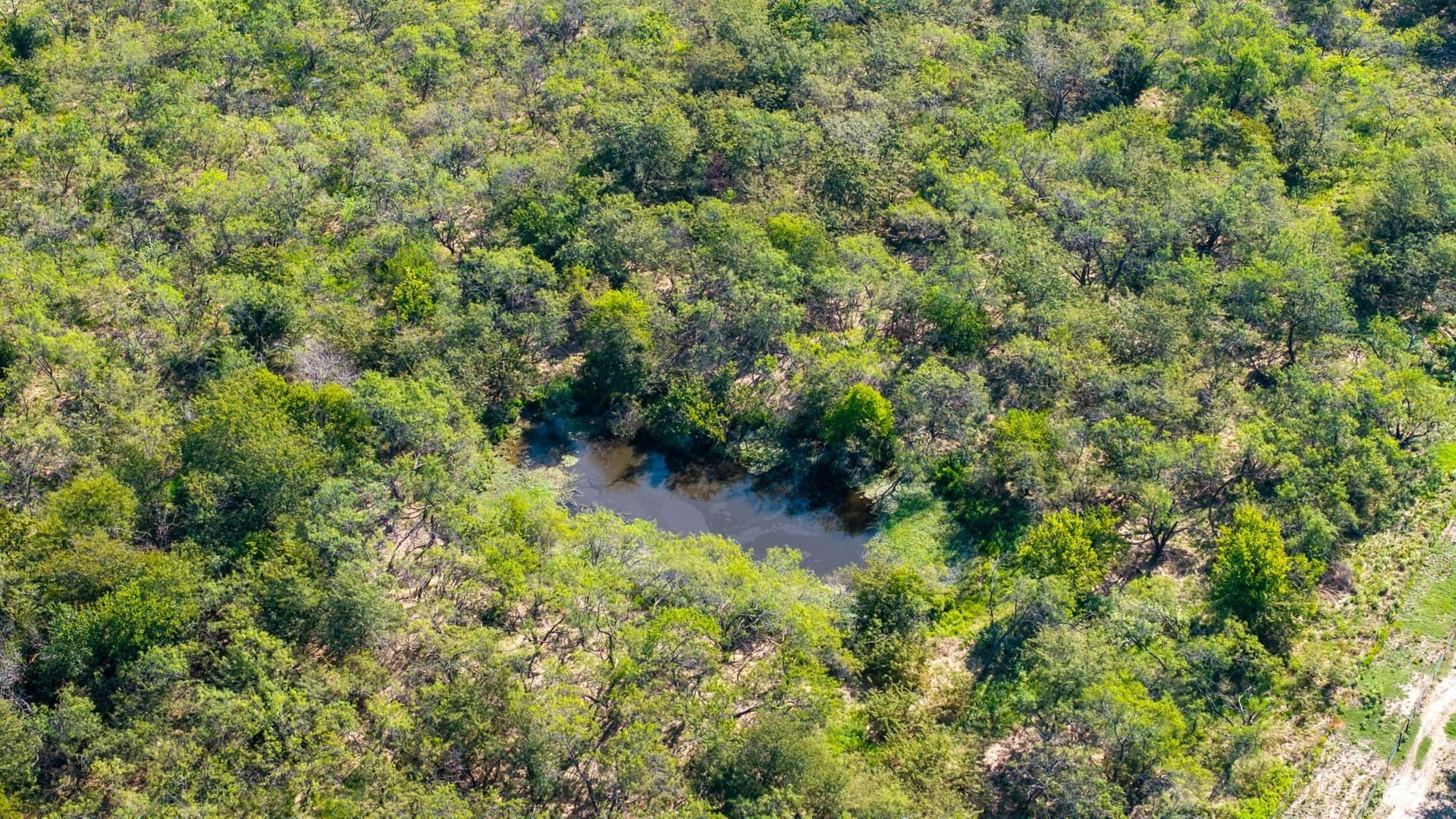 10.06 acres in Kaufman County - photo 15
