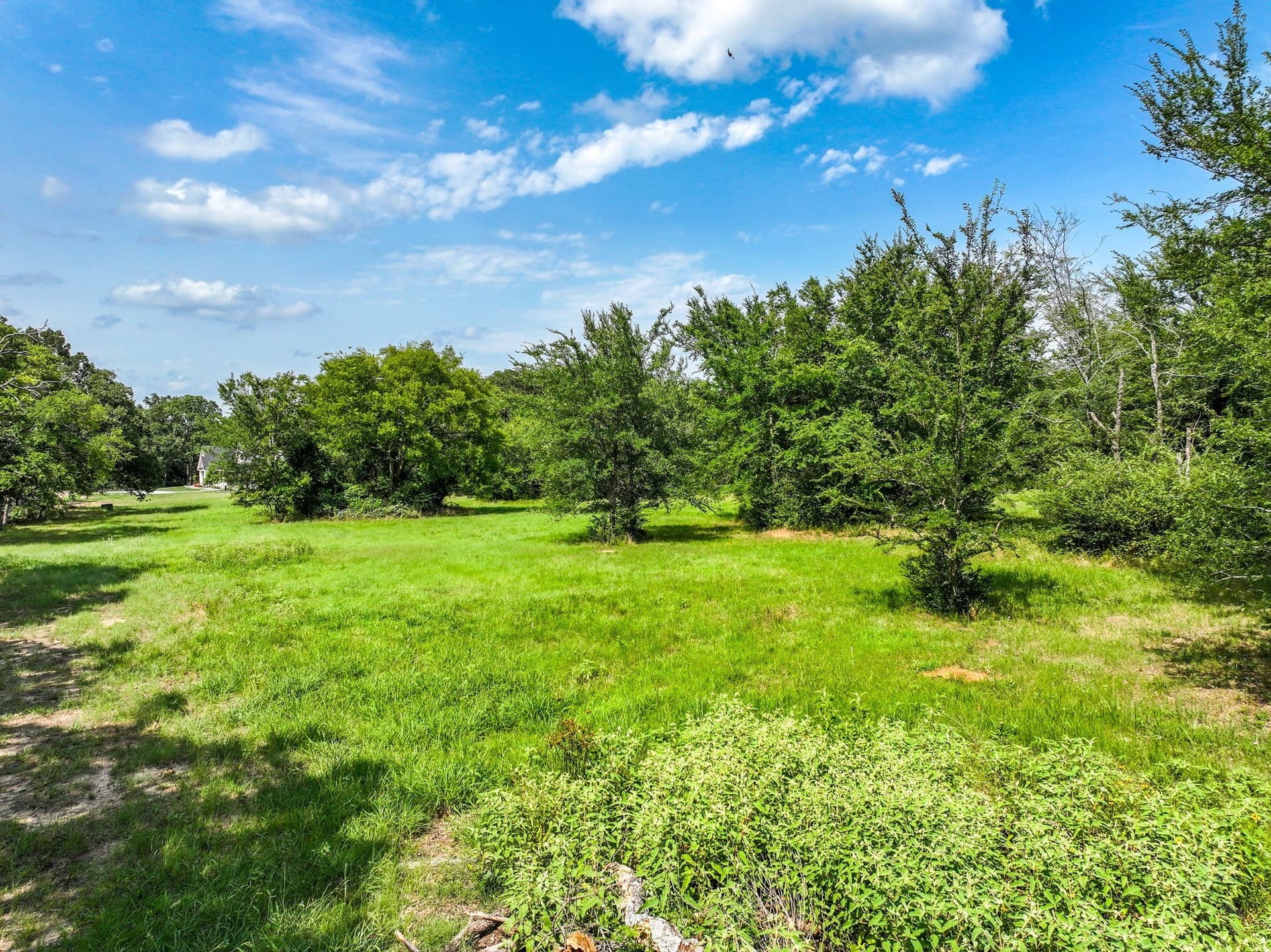 1.01 acres in Hopkins County gallery image 2