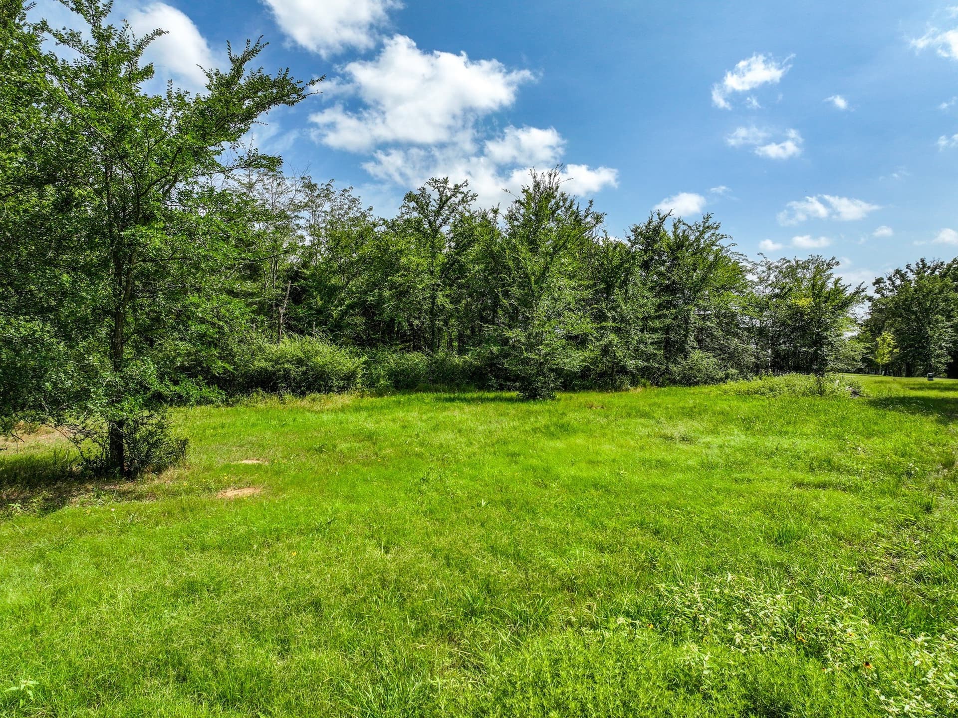 1.01 acres in Hopkins County gallery image 4
