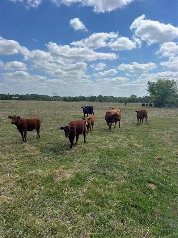 92.4 acres in Henderson County