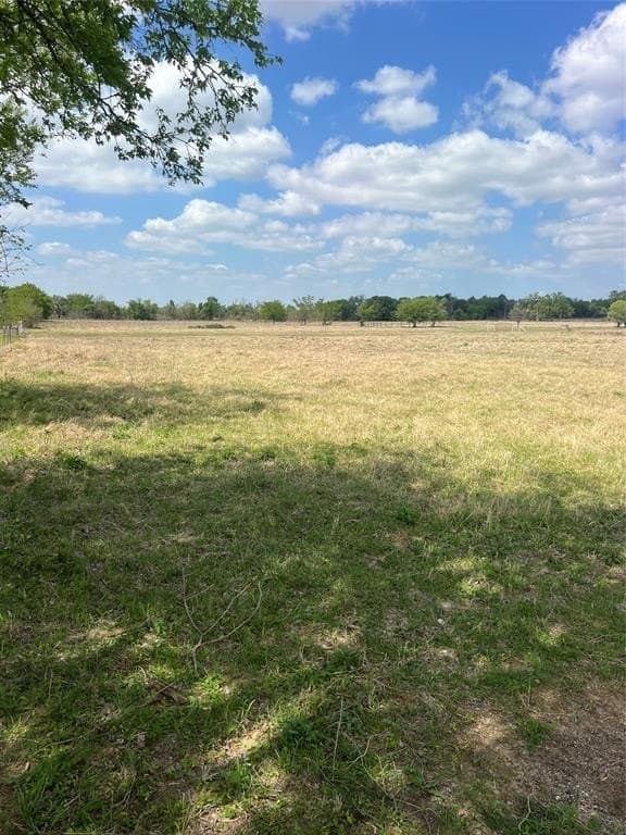 92.4 acres in Henderson County gallery image 2