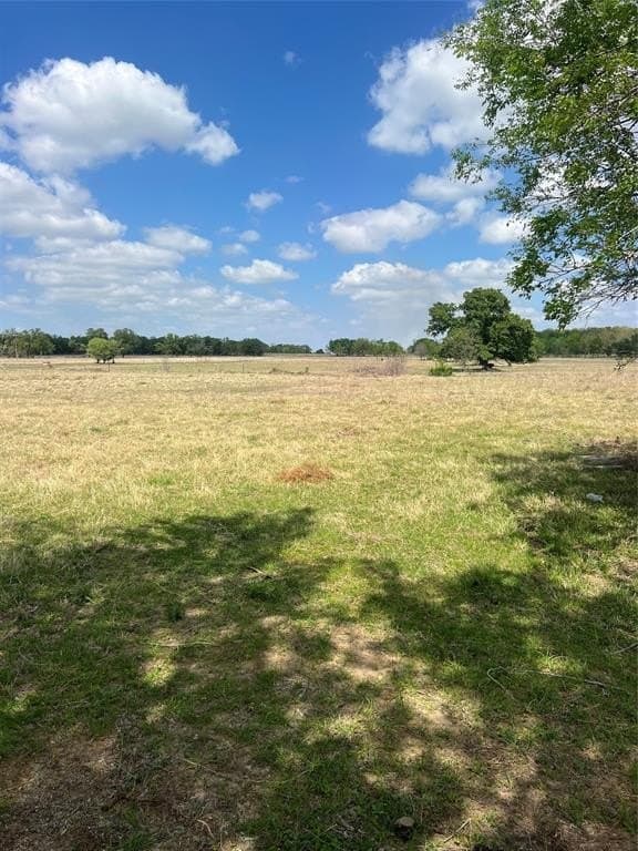 92.4 acres in Henderson County gallery image 3