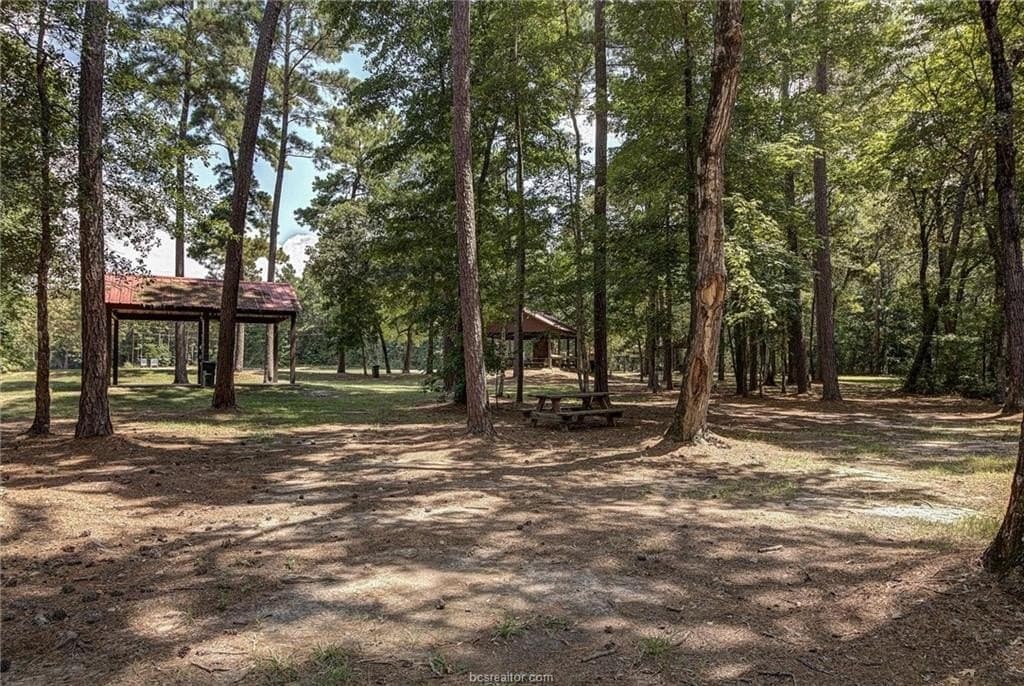 6 acres in Walker County - photo 22