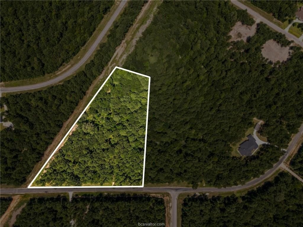 6 acres in Walker County - photo 4