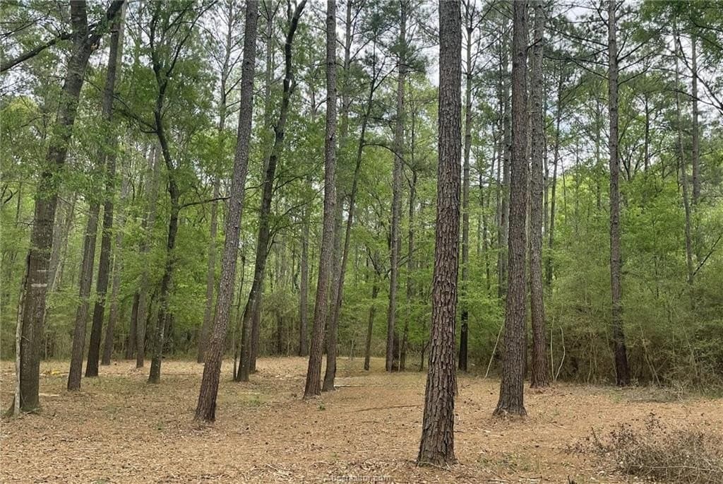 6 acres in Walker County