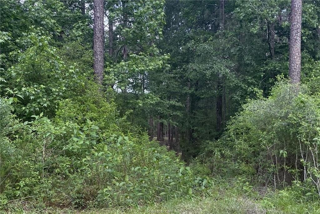 6 acres in Walker County - photo 11