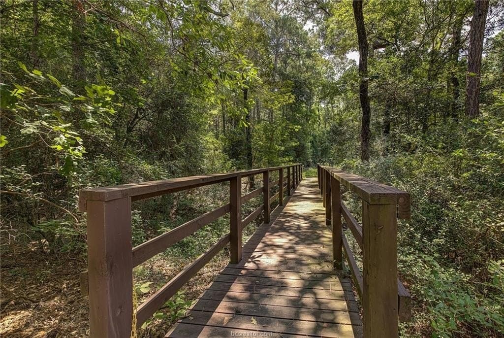 6 acres in Walker County - photo 20