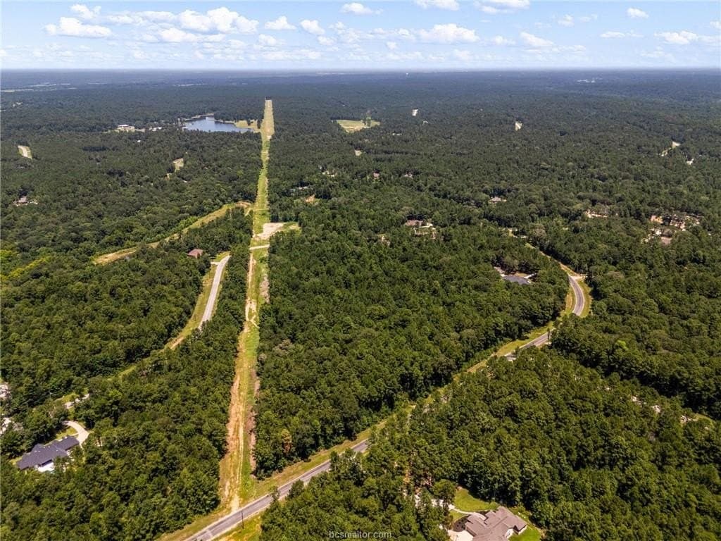6 acres in Walker County - photo 6