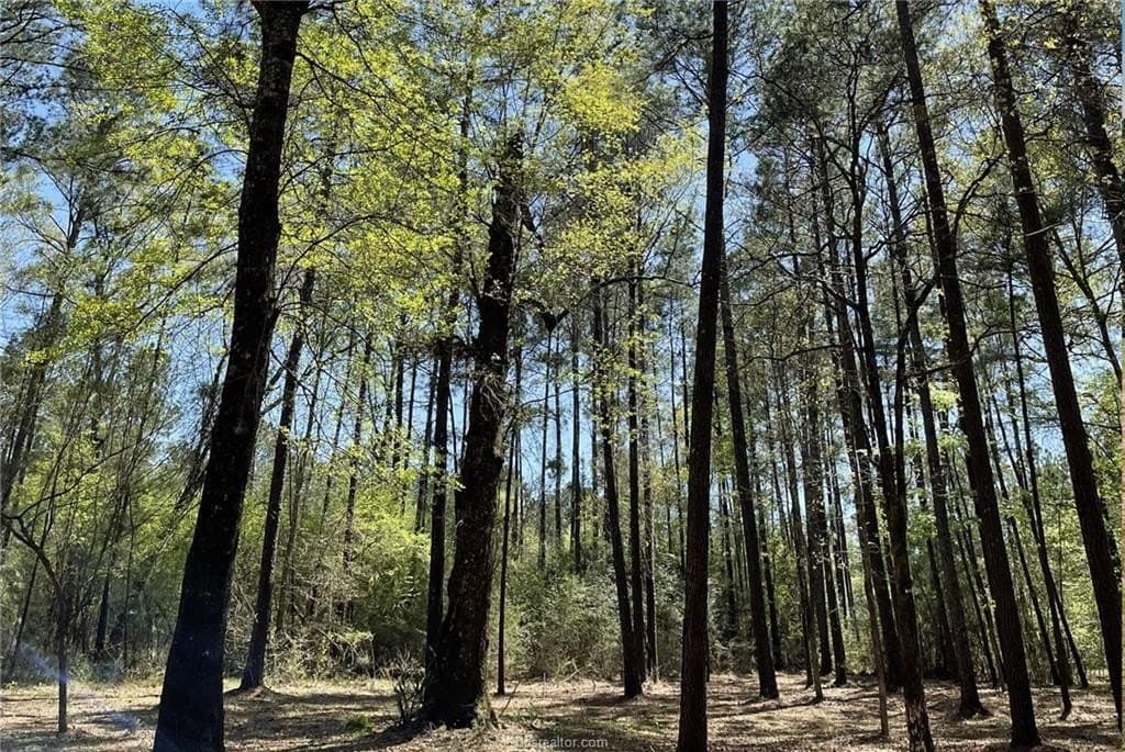 6 acres in Walker County - photo 10