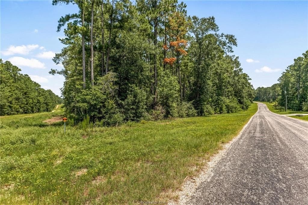 6 acres in Walker County - photo 2