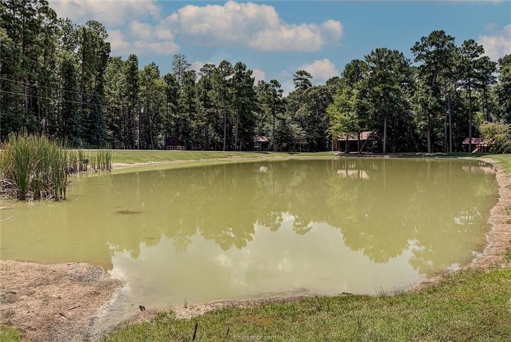 6 acres in Walker County - photo 17