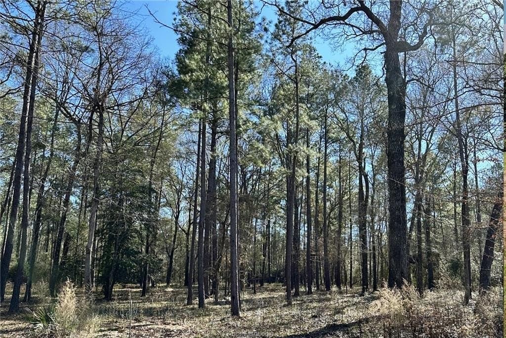 6 acres in Walker County - photo 9