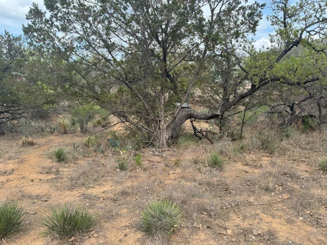 0.11 acres in Burnet County - photo 6