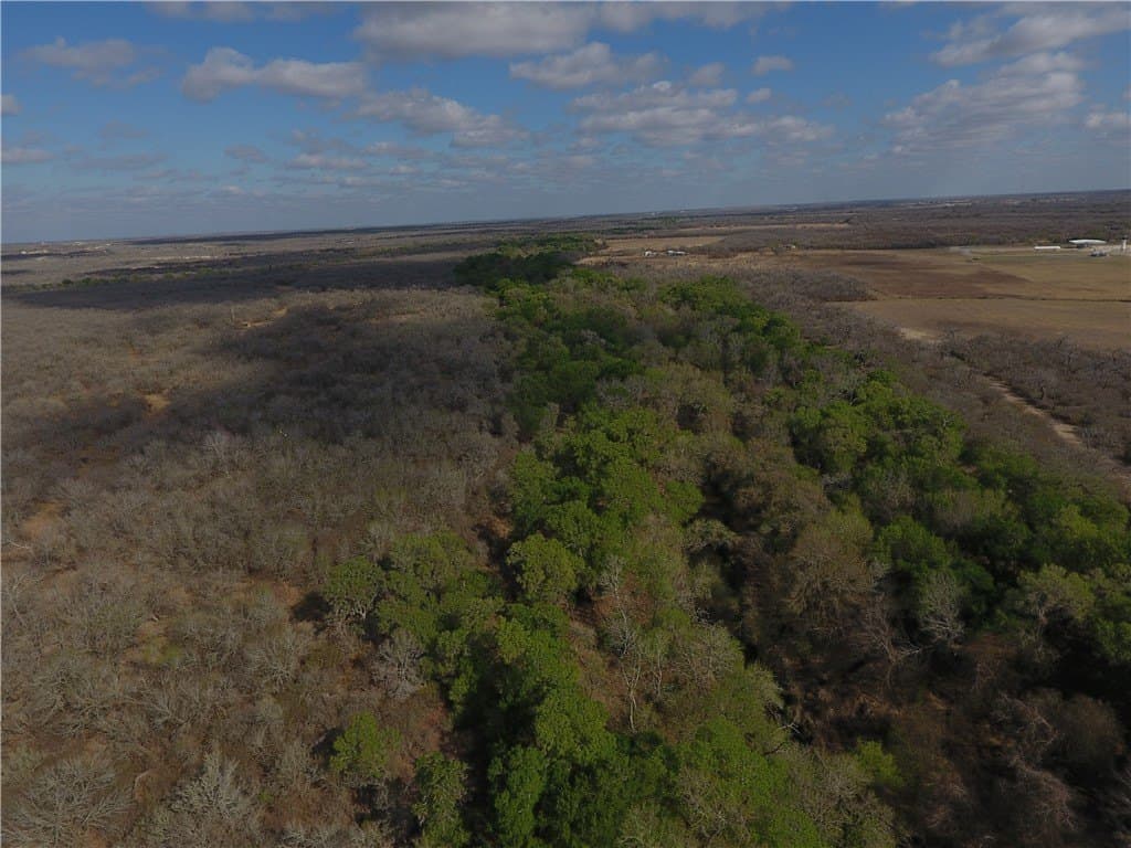 250 acres in Live Oak County gallery image 3
