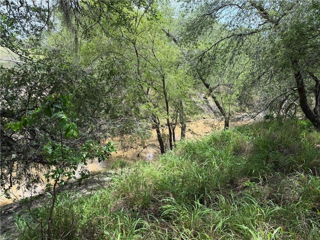 250 acres in Live Oak County gallery image 2