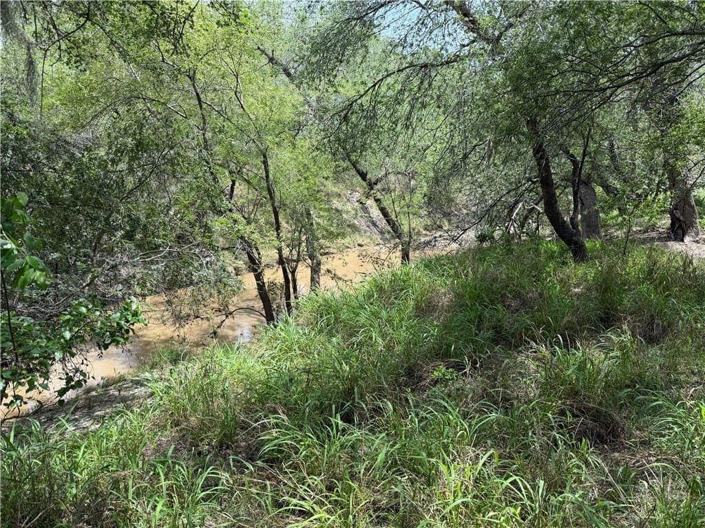 250 acres in Live Oak County gallery image 3