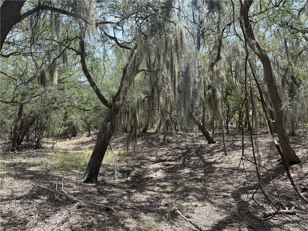 250 acres in Live Oak County featured view