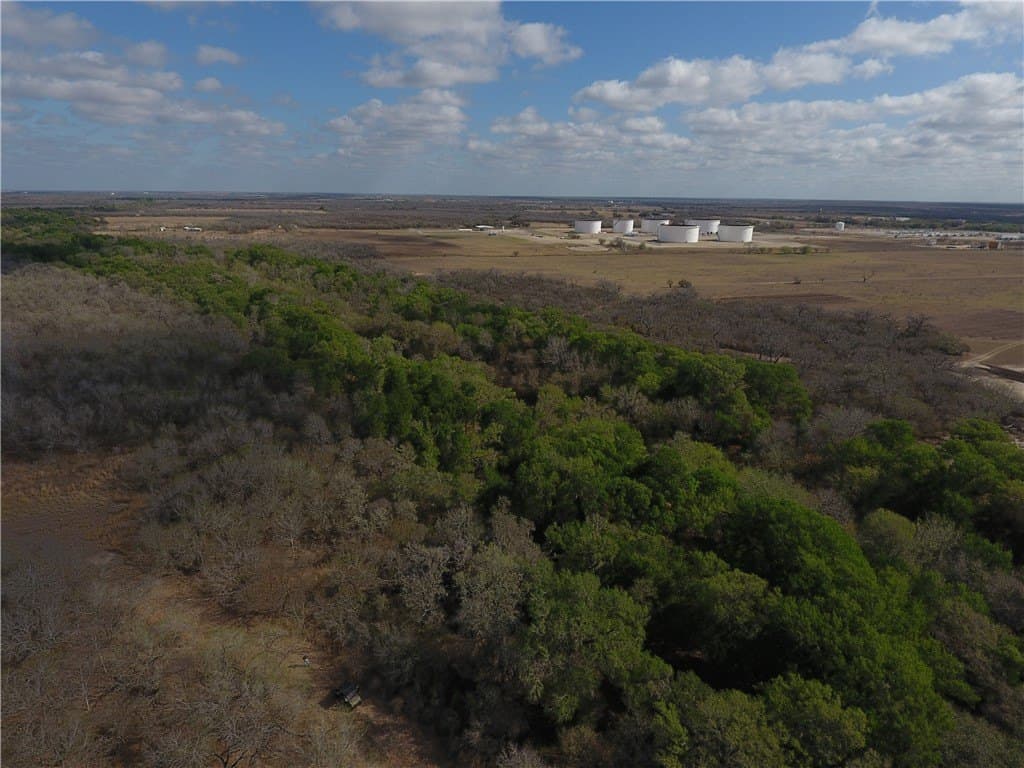 250 acres in Live Oak County gallery image 2