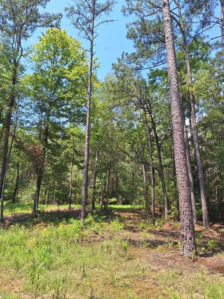 15.85 acres in Texas County - photo 21