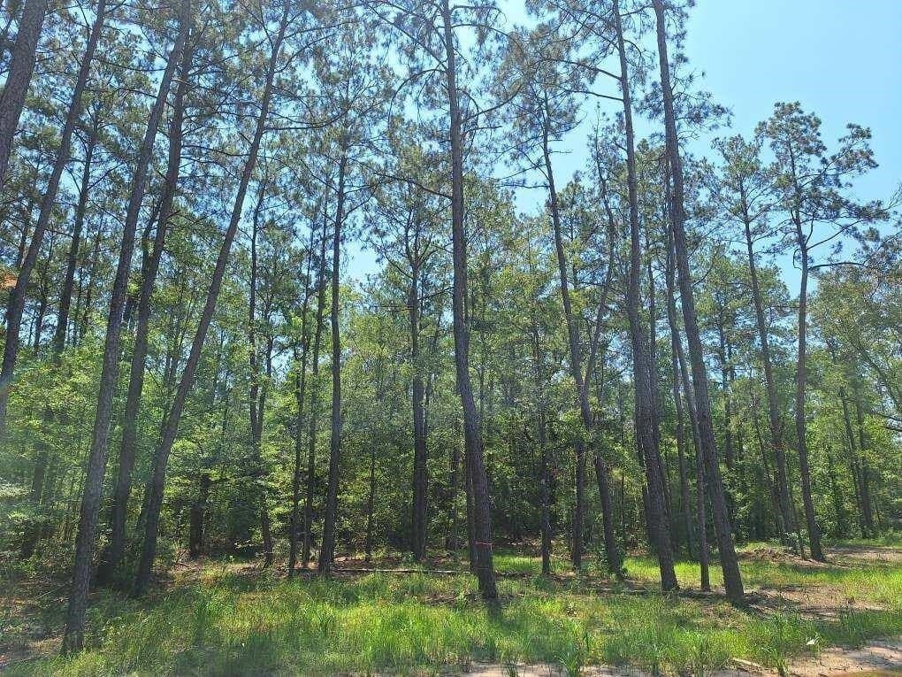 15.85 acres in Texas County - photo 22