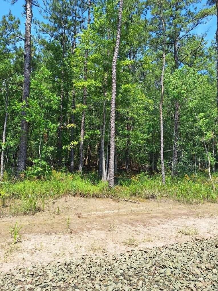 15.85 acres in Texas County - photo 18