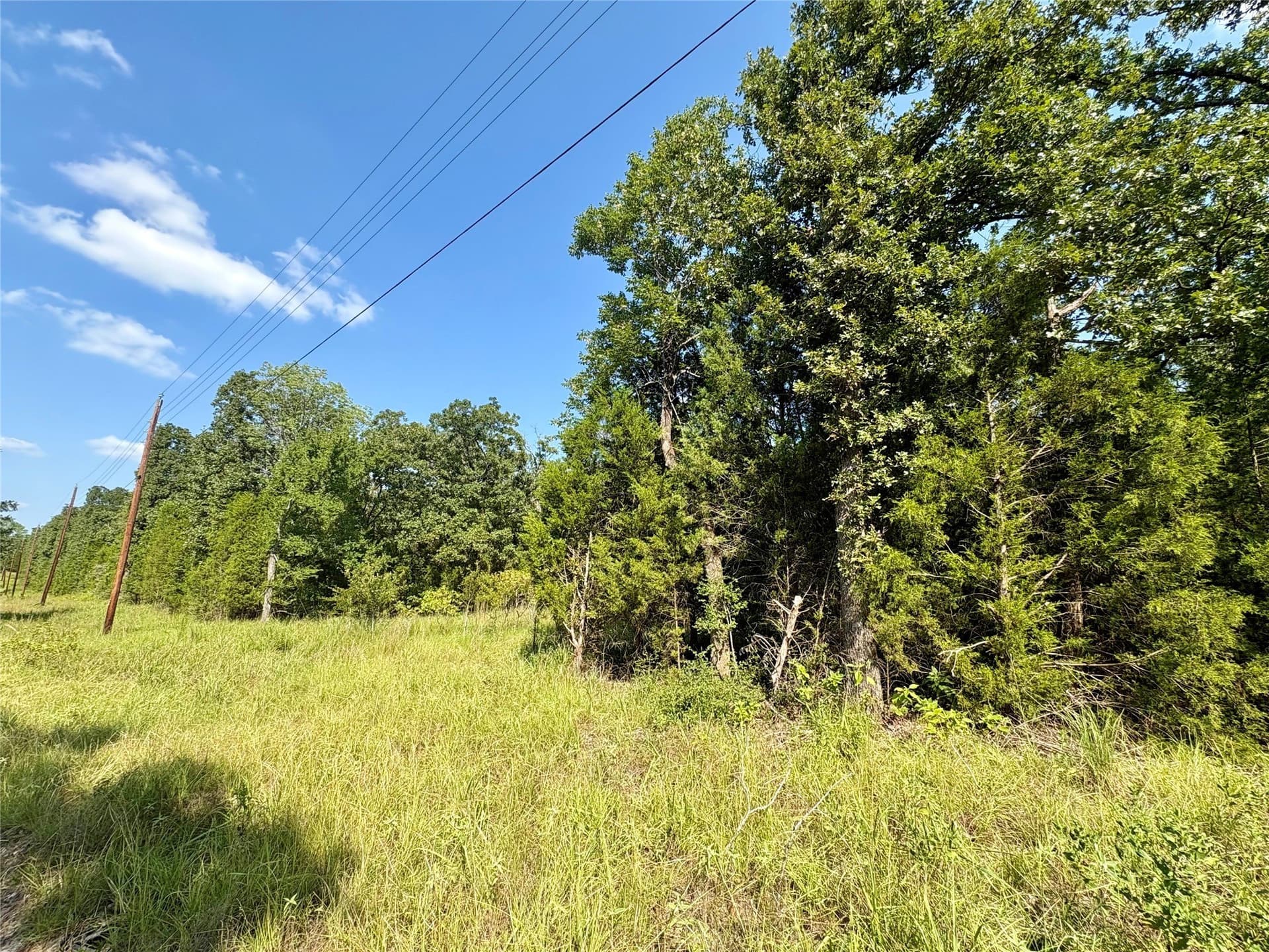 0.03 acres in Henderson County - photo 9