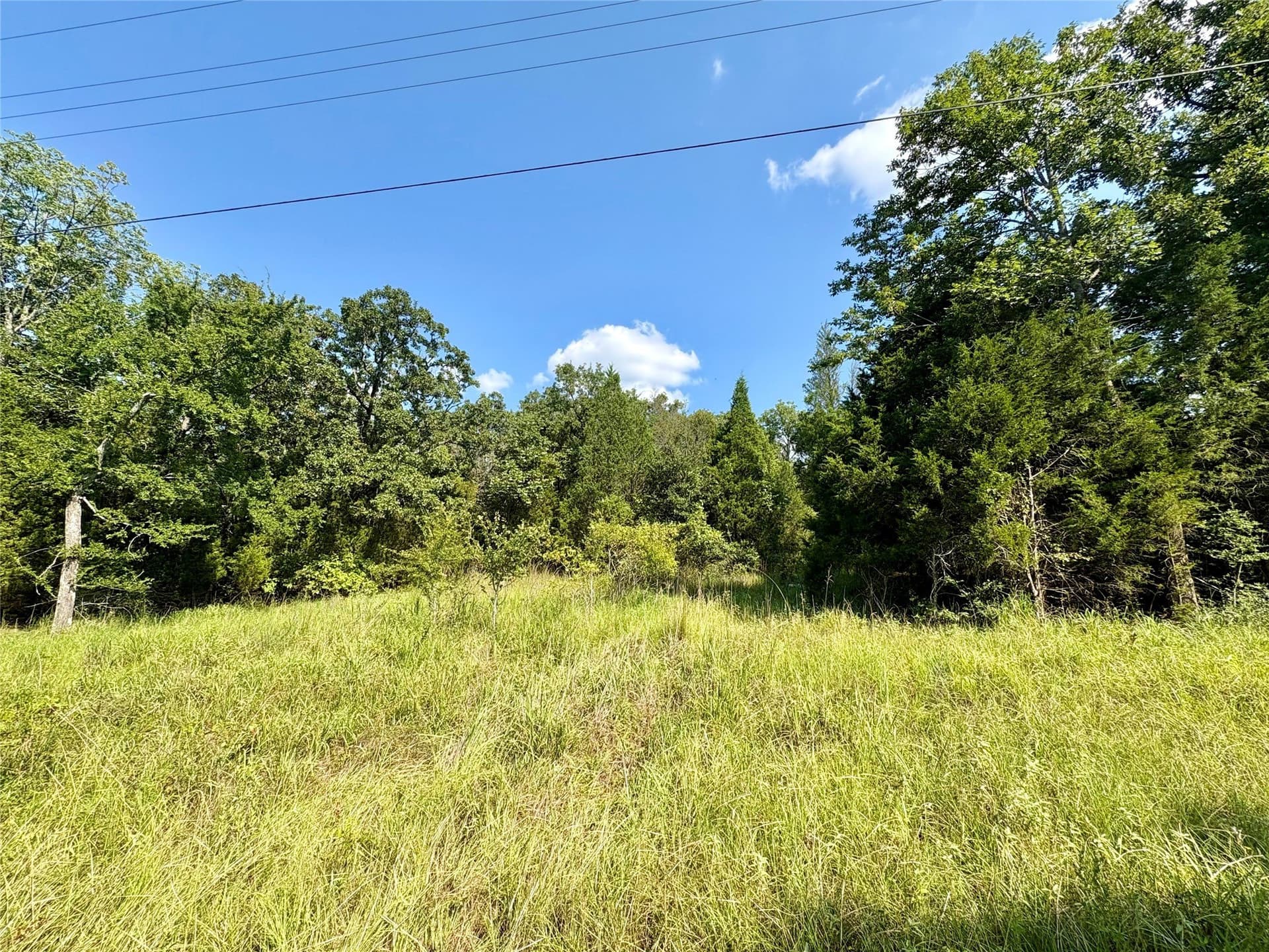 0.03 acres in Henderson County - photo 8