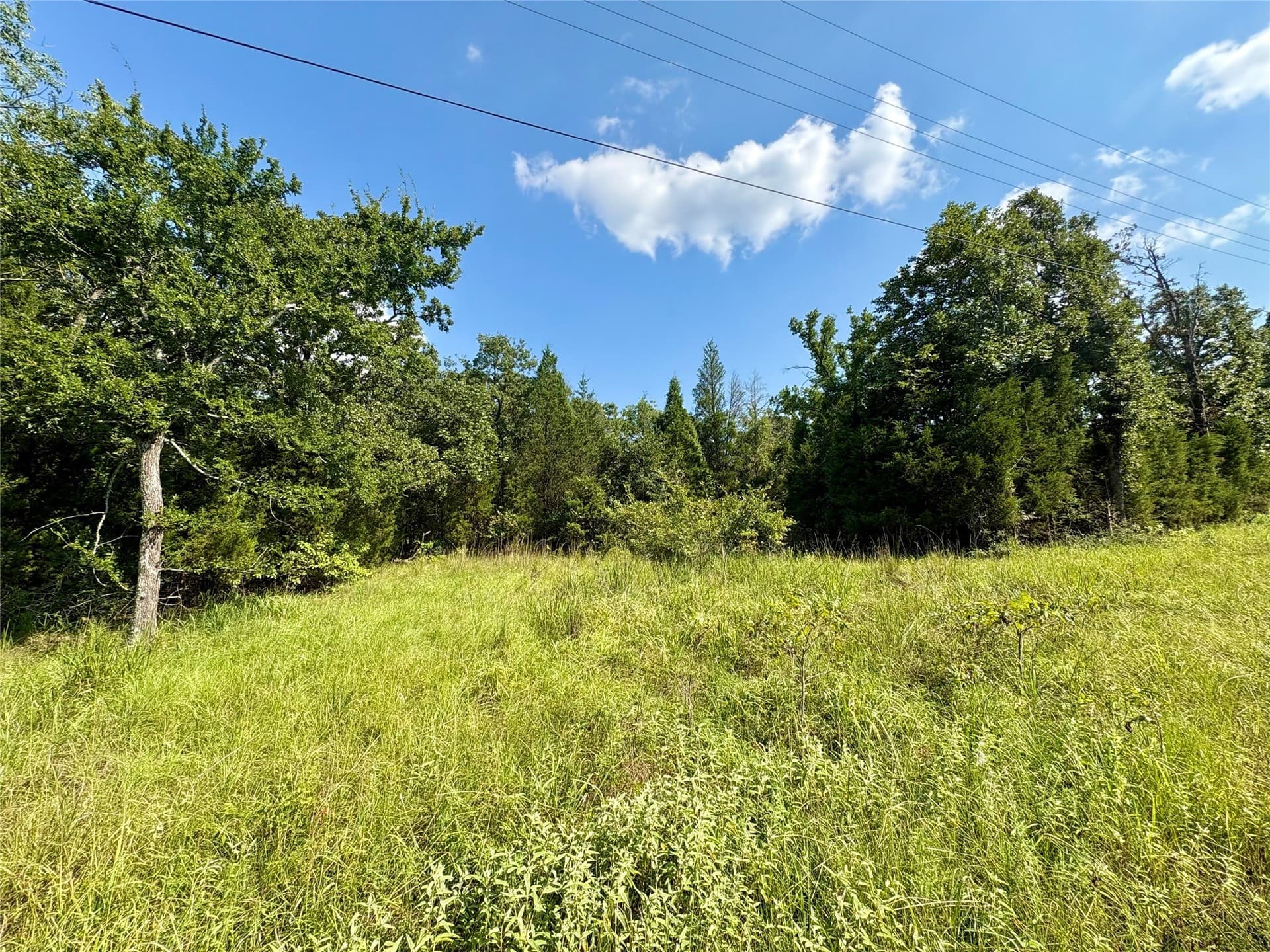 0.03 acres in Henderson County - photo 7