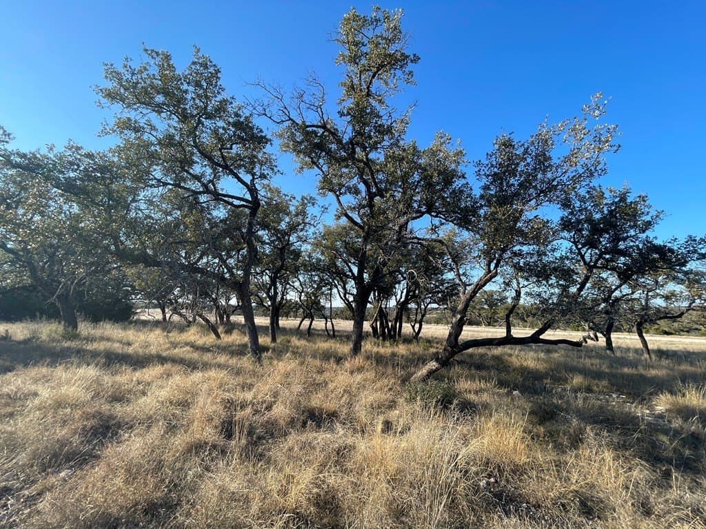 5.09 acres in Kimble County - photo 14