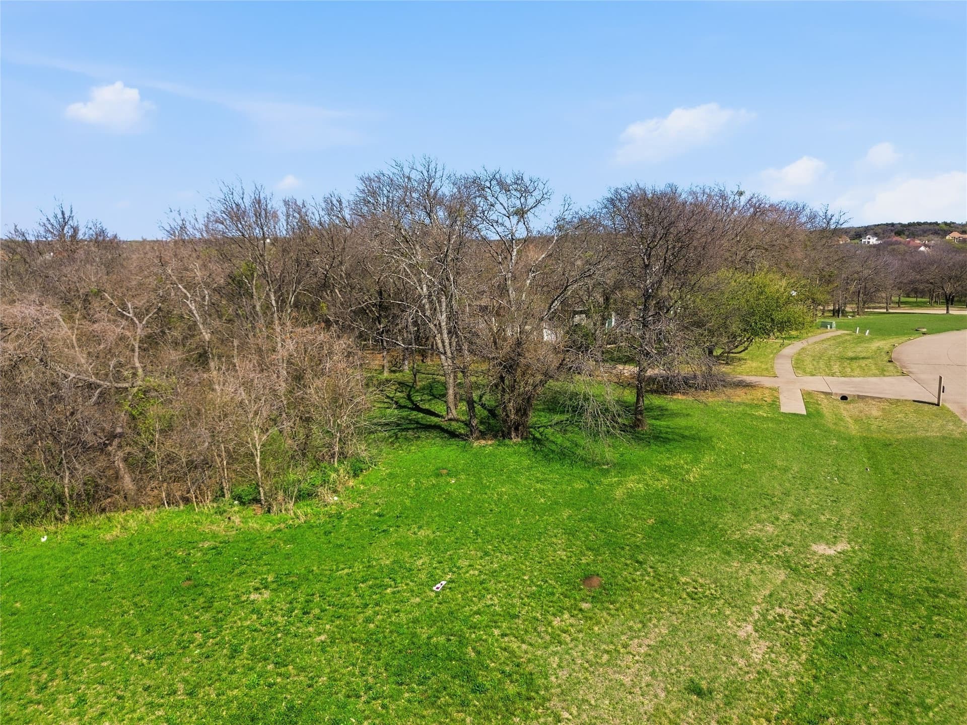1.62 acres in Dallas County - photo 17