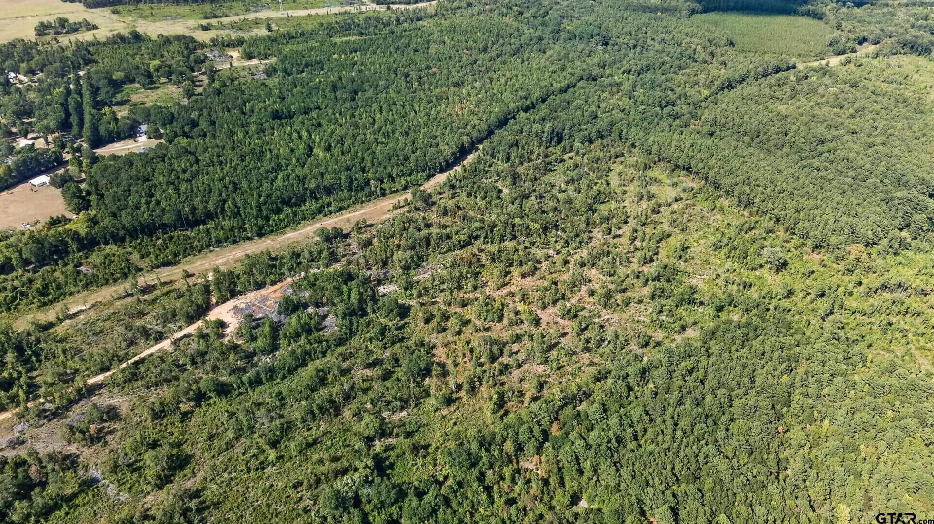 29 acres in Smith County - photo 4
