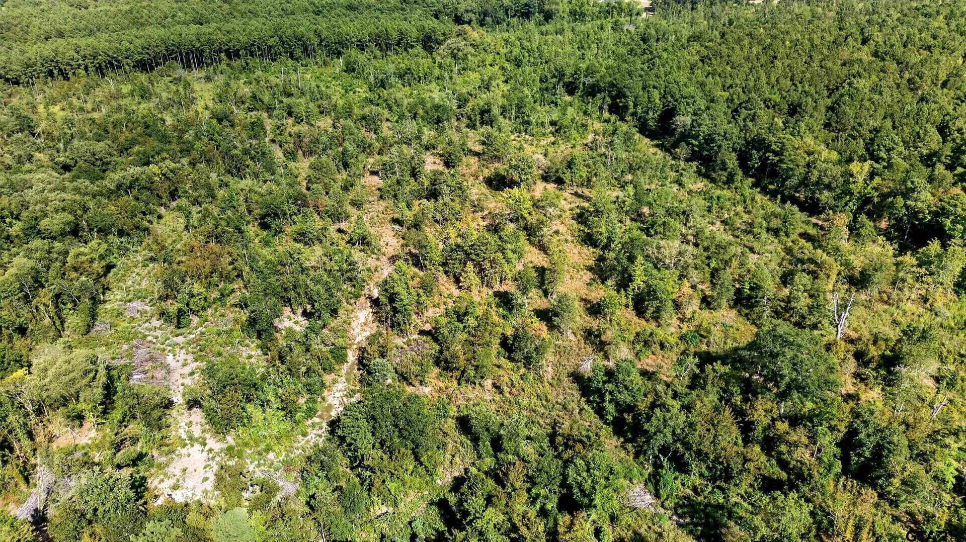 29 acres in Smith County - photo 10