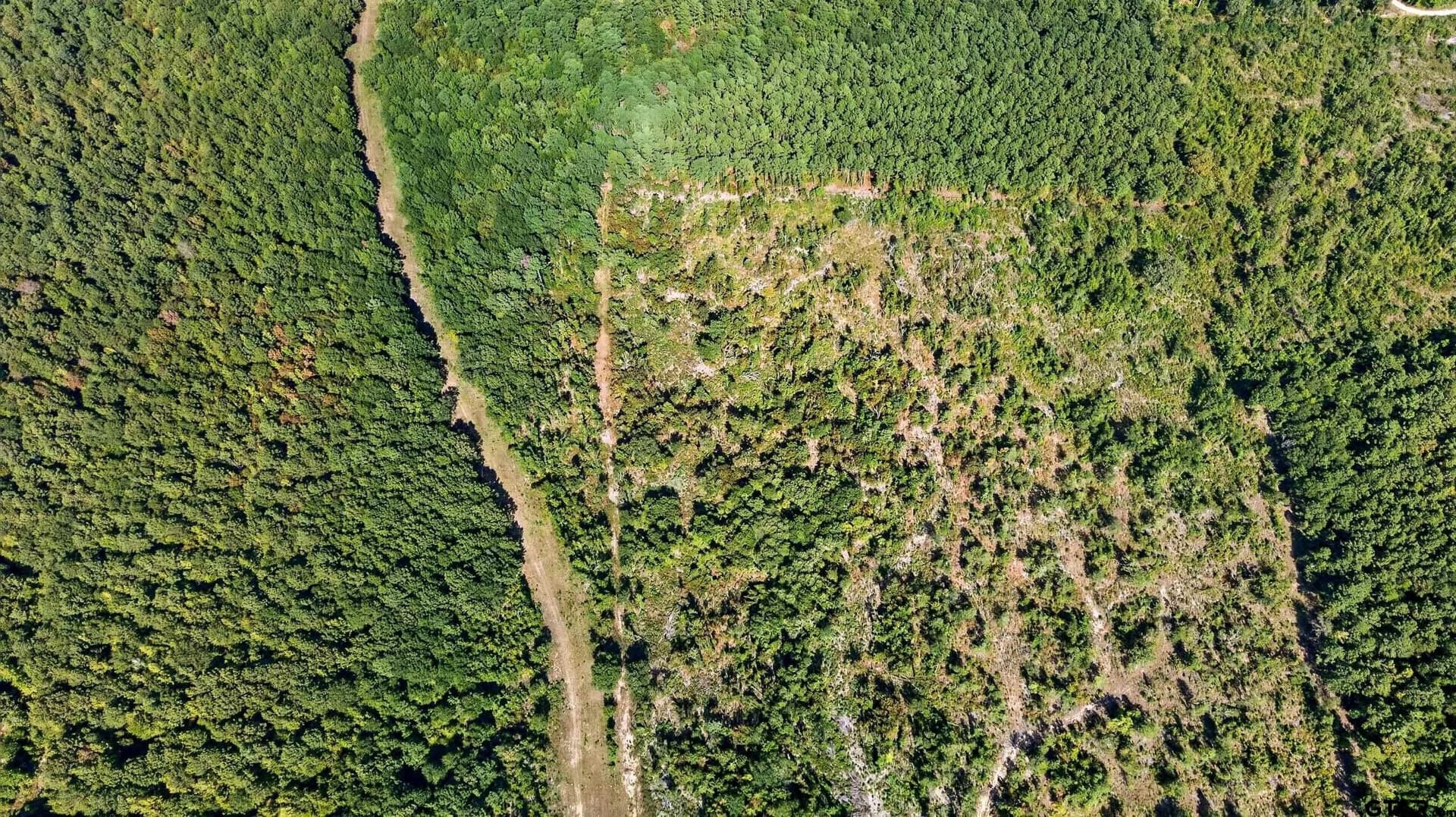 29 acres in Smith County - photo 9
